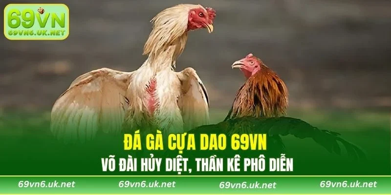 Đá Gà Cựa Dao