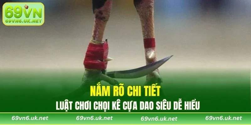 Nắm rõ chi tiết luật chơi chọi kê cựa dao siêu dễ hiểu