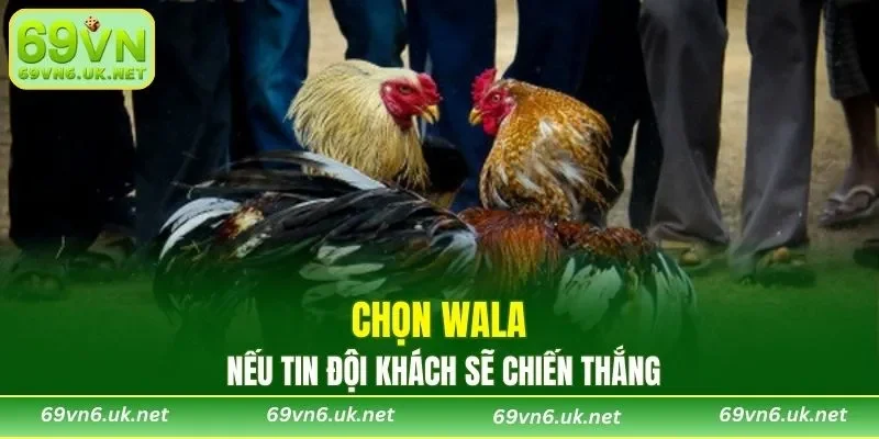 Nếu tin đội khách sẽ chiến thắng thì chọn Wala