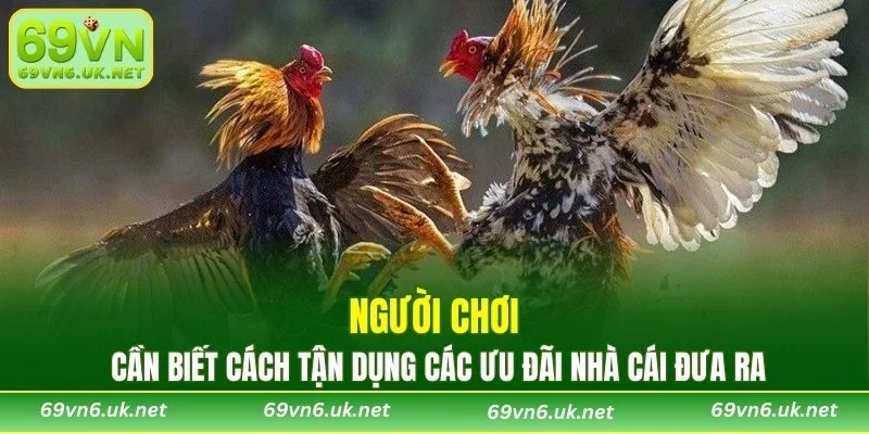 Người chơi cần biết cách tận dụng các ưu đãi nhà cái đưa ra