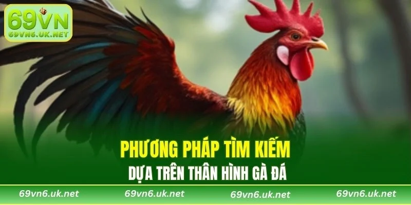 Phương pháp tìm kiếm dựa trên thân hình gà đá